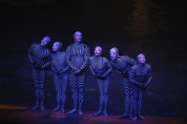 The Zebras